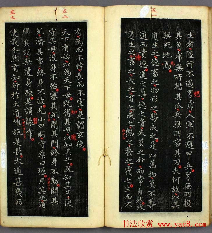 王羲之小楷书法欣赏《道德经》(17)
