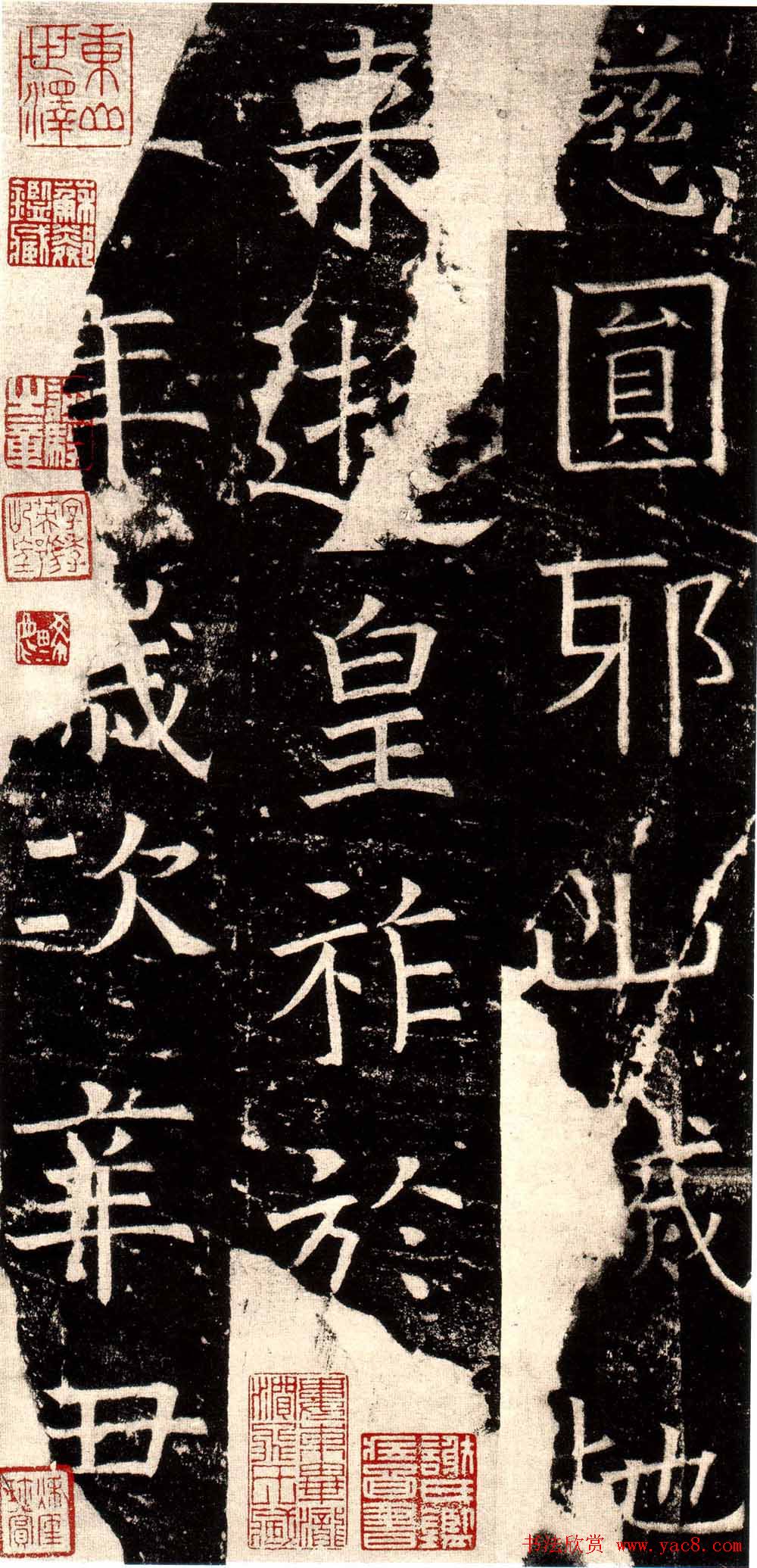 �Һ��Ͽ������͡����������ڷ��豮��