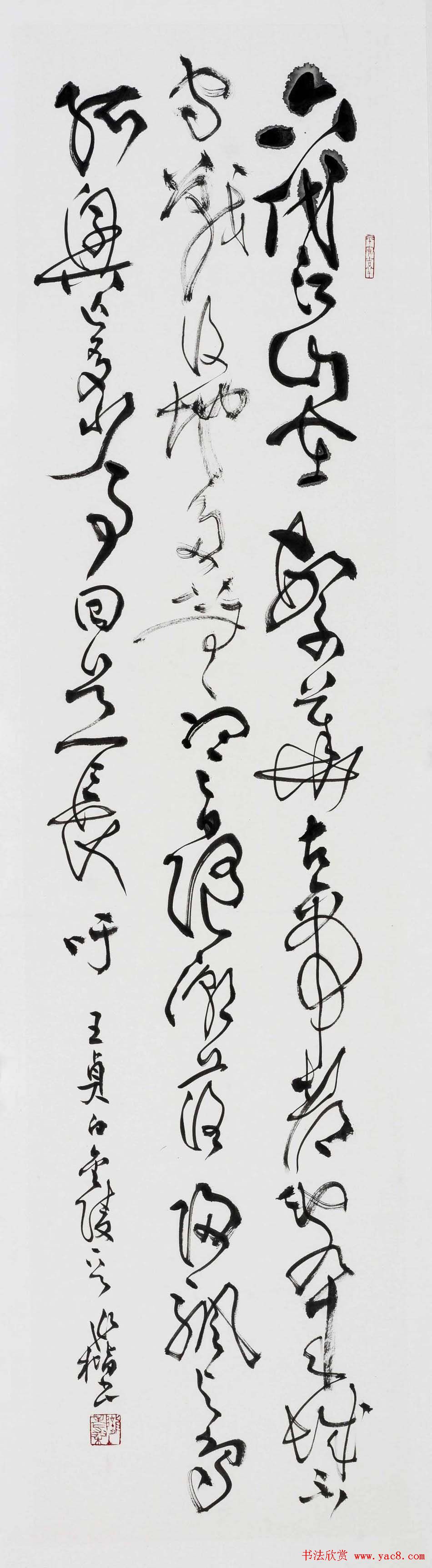 ɣ鷨Ʒ