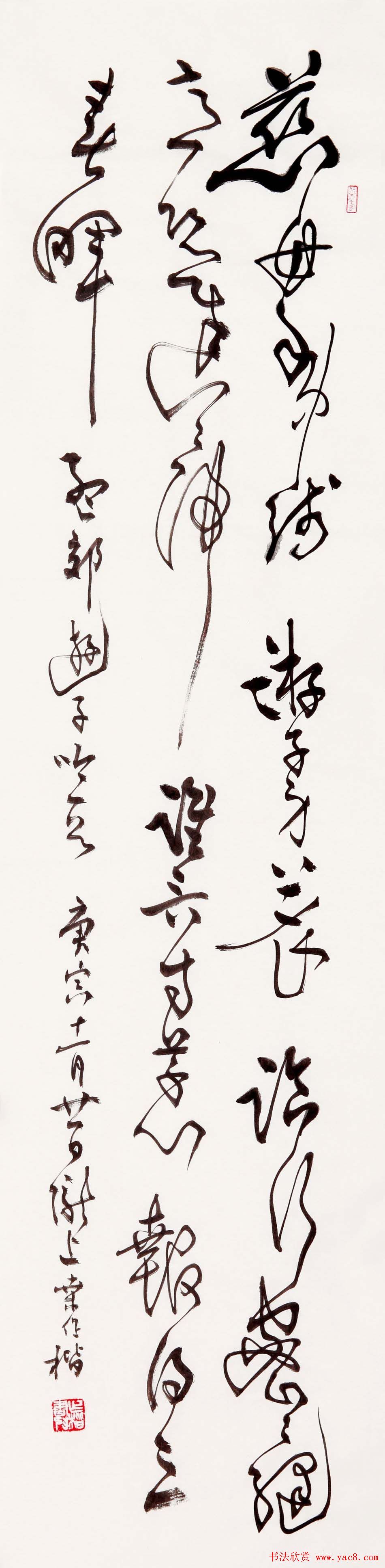 ɣ鷨Ʒ