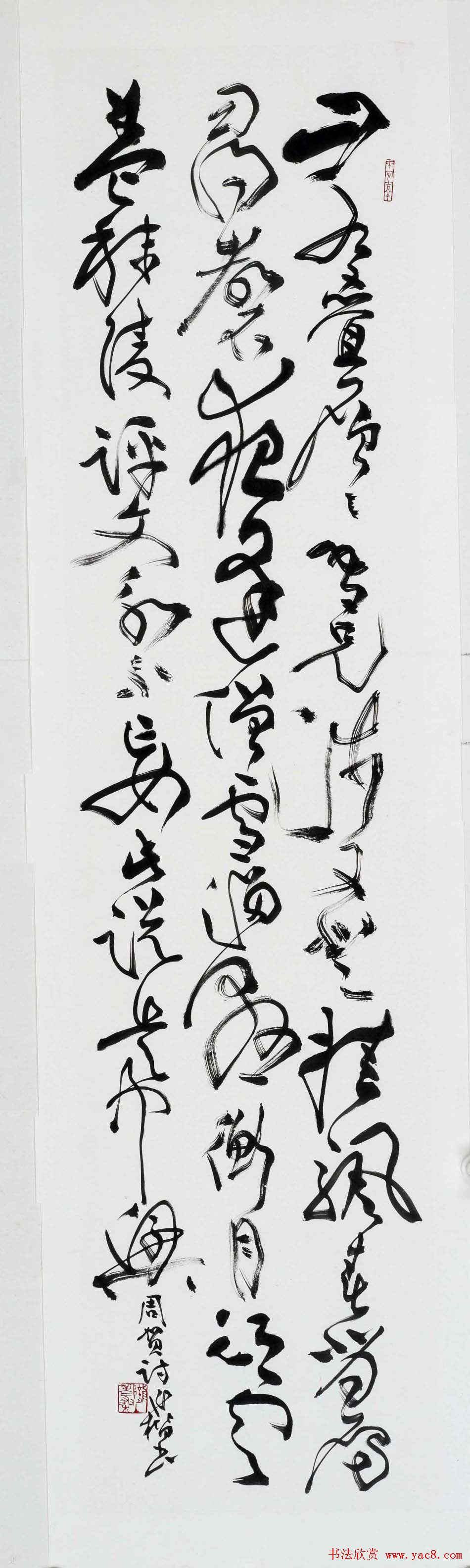 ɣ鷨Ʒ
