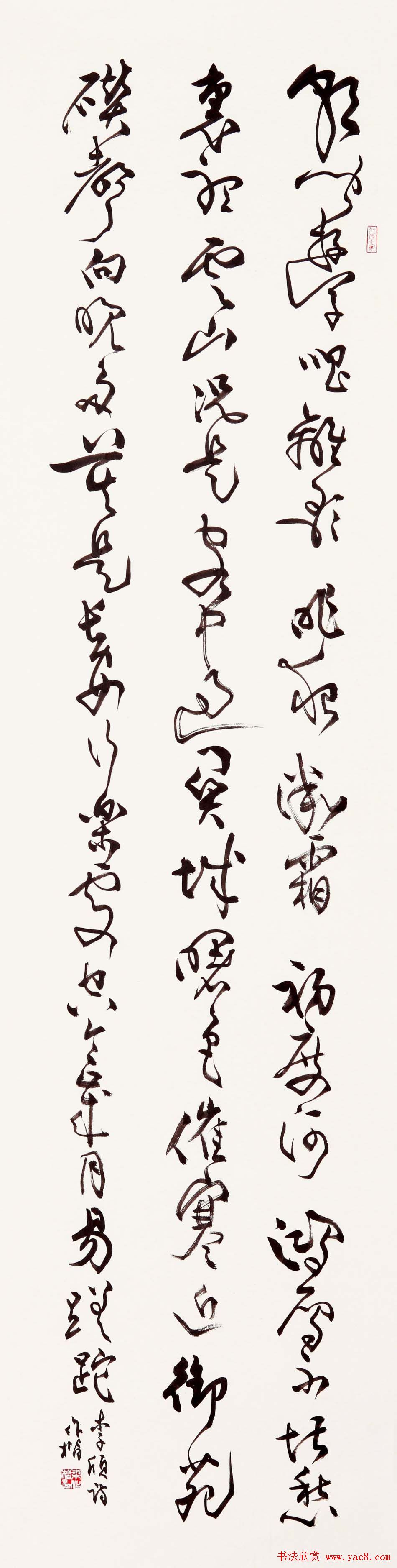 ɣ鷨Ʒ