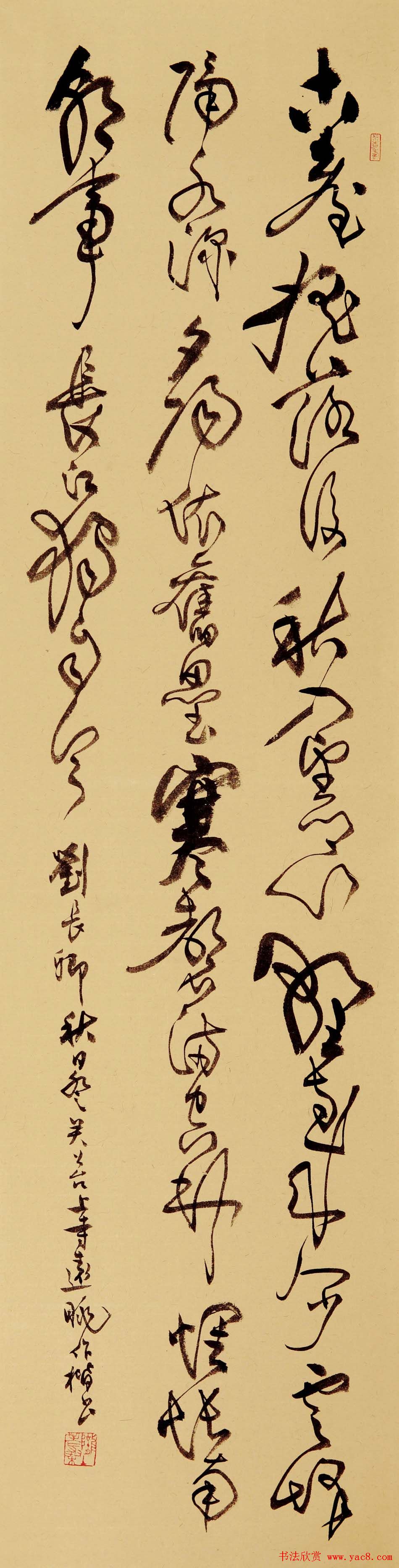 ɣ鷨Ʒ