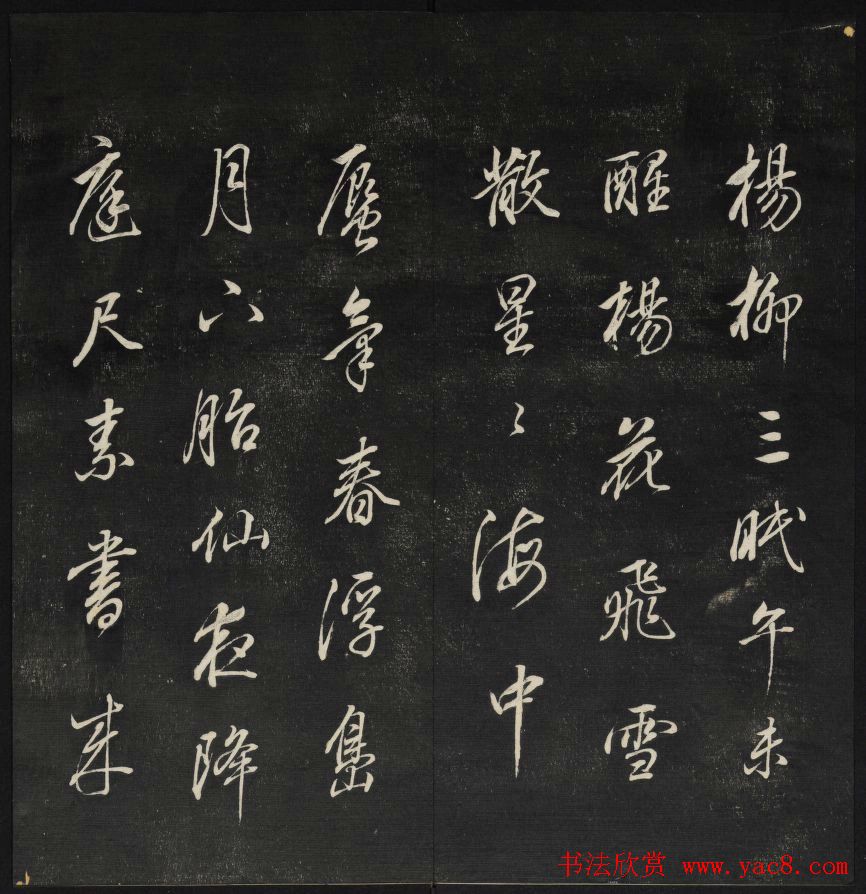 鷨̡¥Ĳ