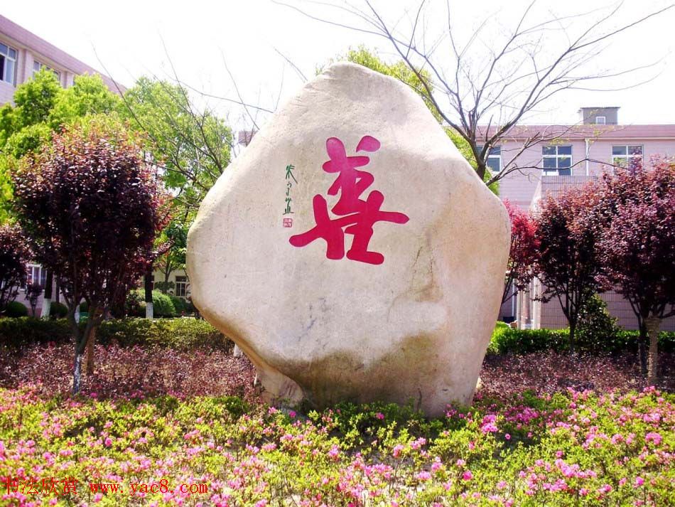 ص鷨Ʒ