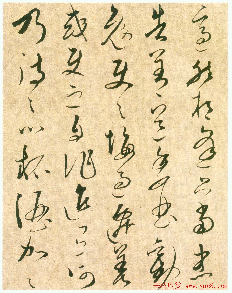 лԪԾ漣