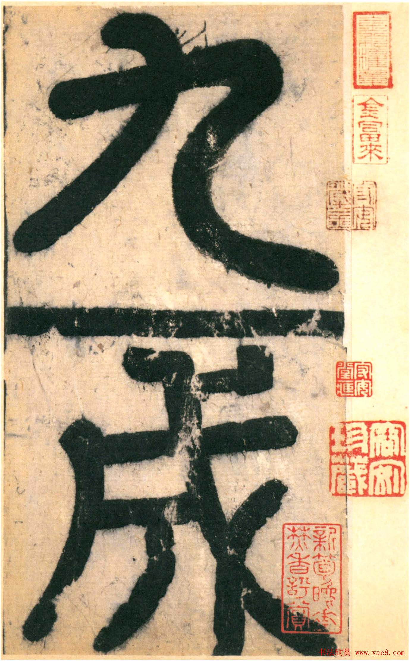 ŷ��ѯ�����������ųɹ���Ȫ����