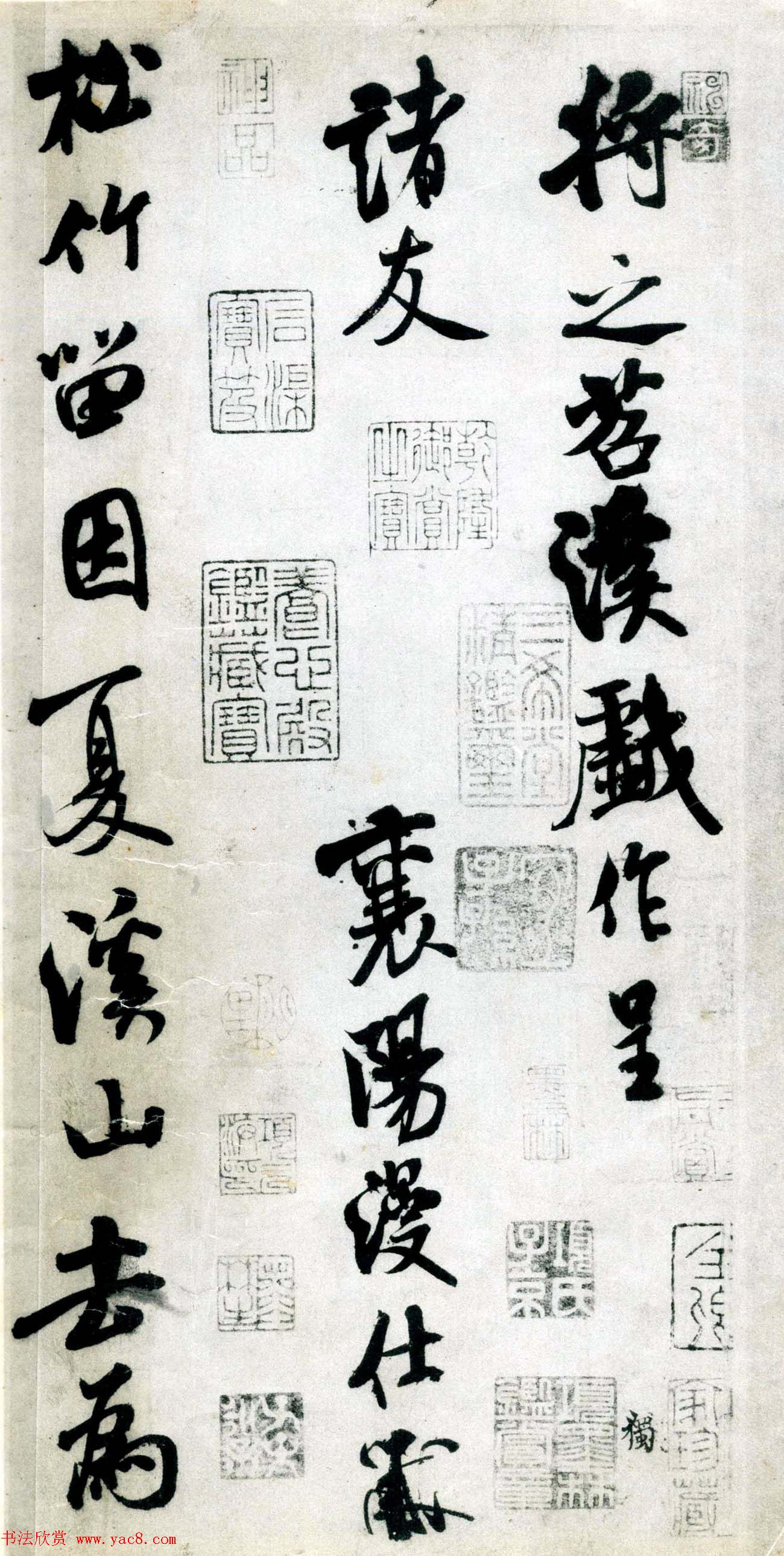 鷨Ϫʫ
