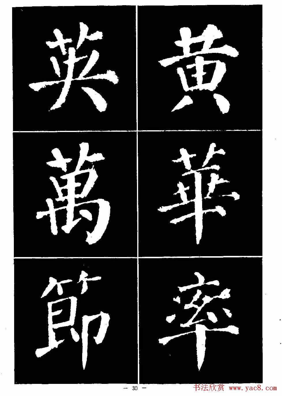 鷨ѡ