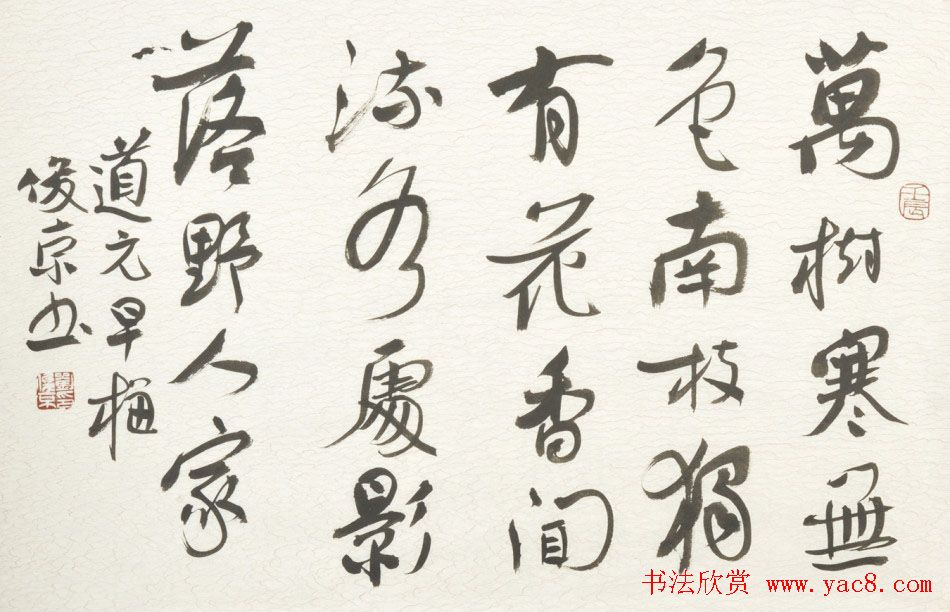 Эϯ鷨ƷͰٷ