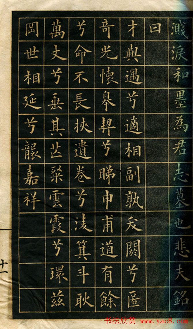 ��-�������������͡�������Ĺ־������