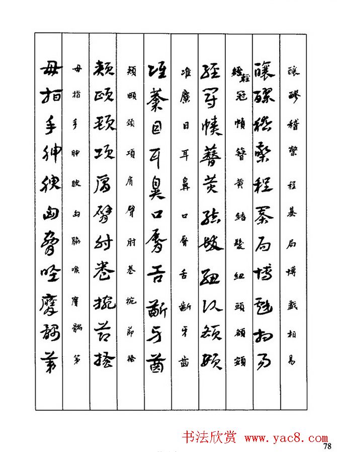 �鷨�̳̣�л�ױ�����������д�²ݡ�