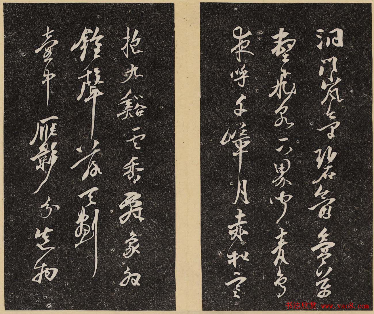 �����ѧ����ͼ��ݲء������������ڶ���