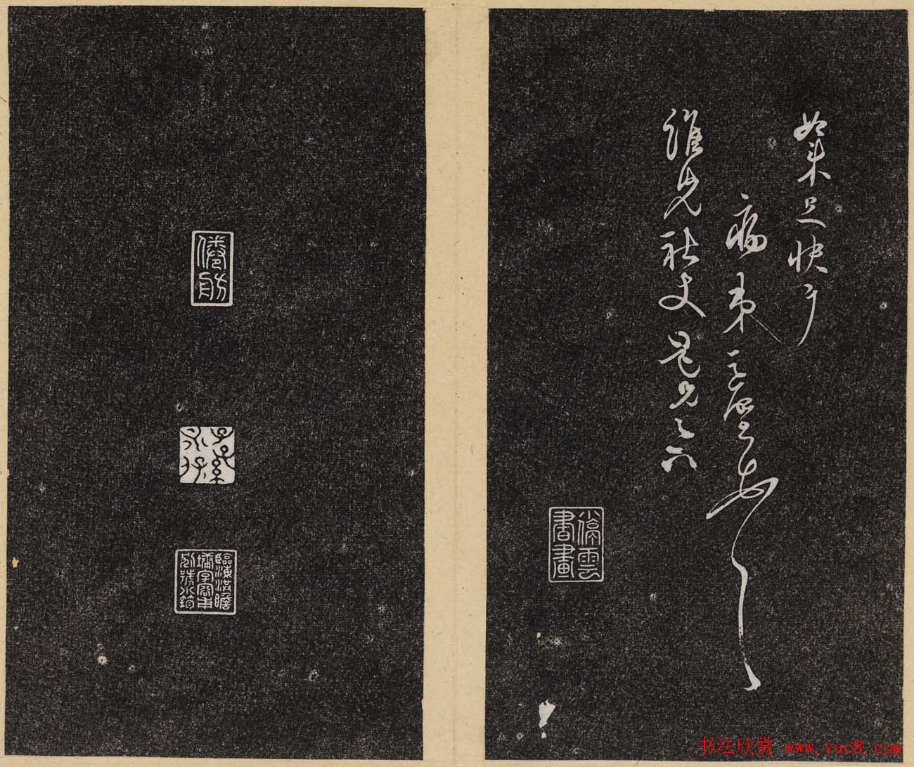 �����ѧ����ͼ��ݲء������������ڶ���