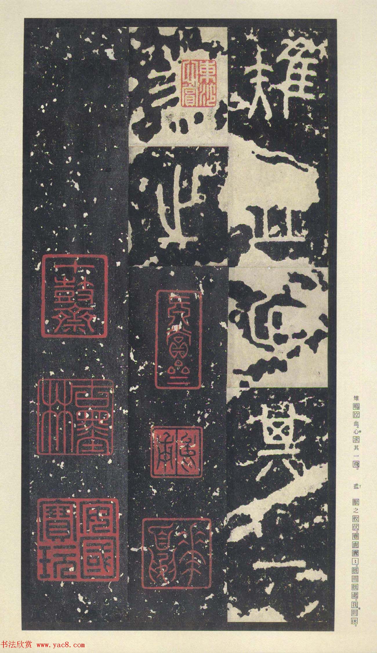 ԭɫ�������͡�������ʯ���ġ���Ȩ��