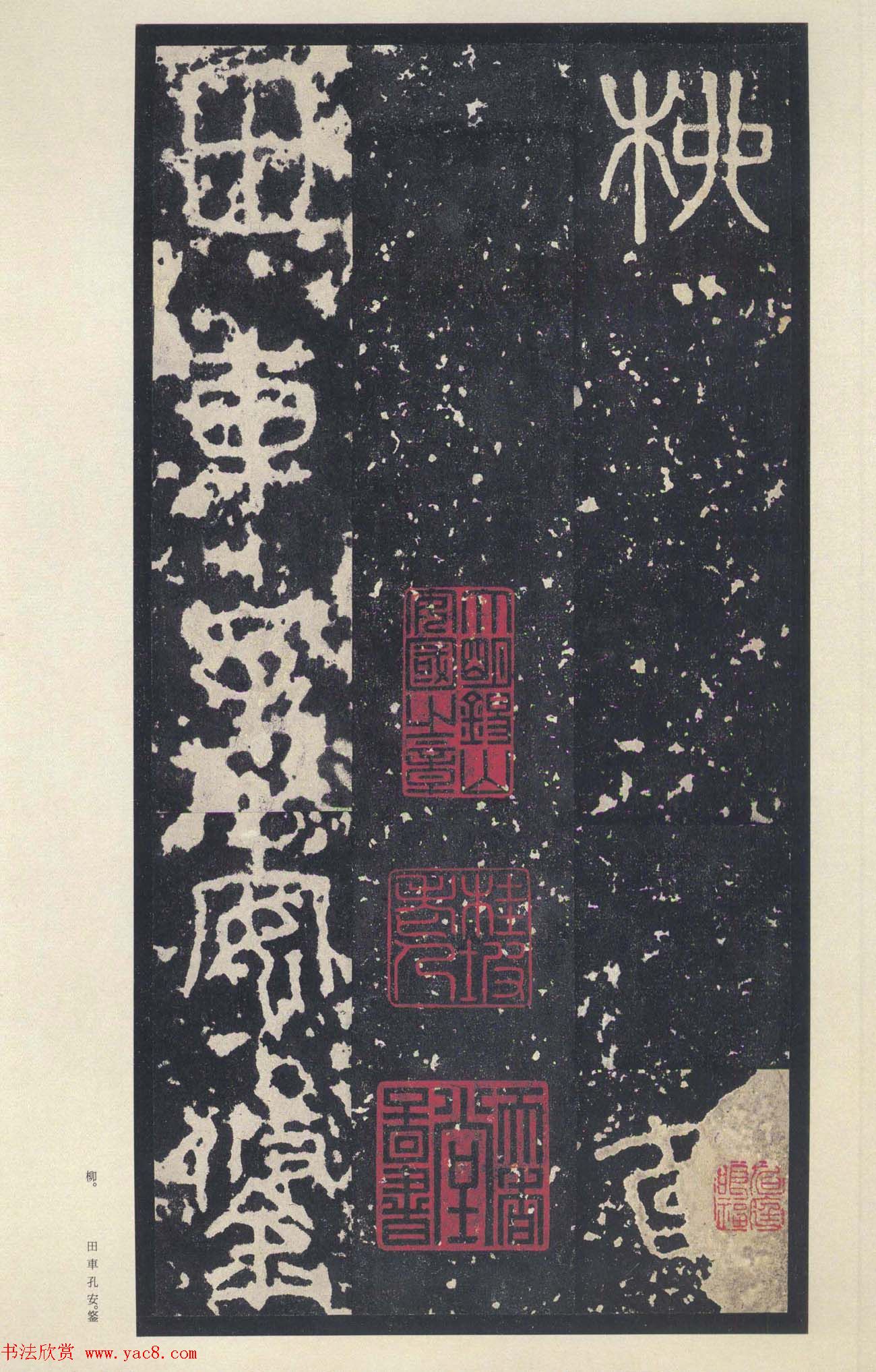 ԭɫ�������͡�������ʯ���ġ���Ȩ��