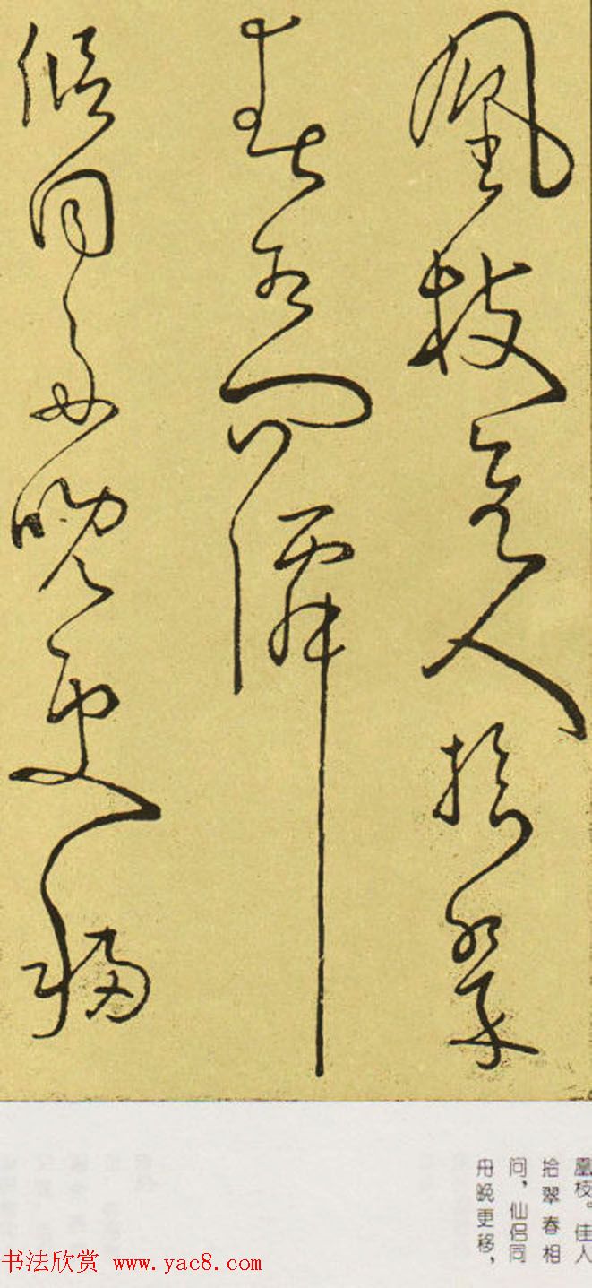 唐怀素草书欣赏《秋兴八首》两种(9)