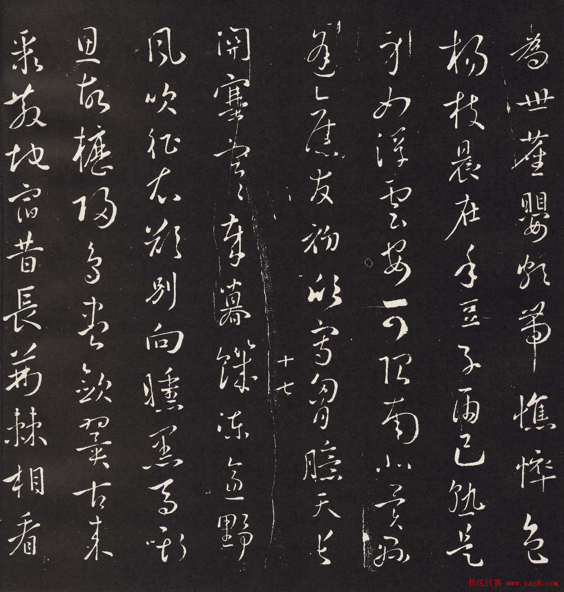 鷨ʫʯ