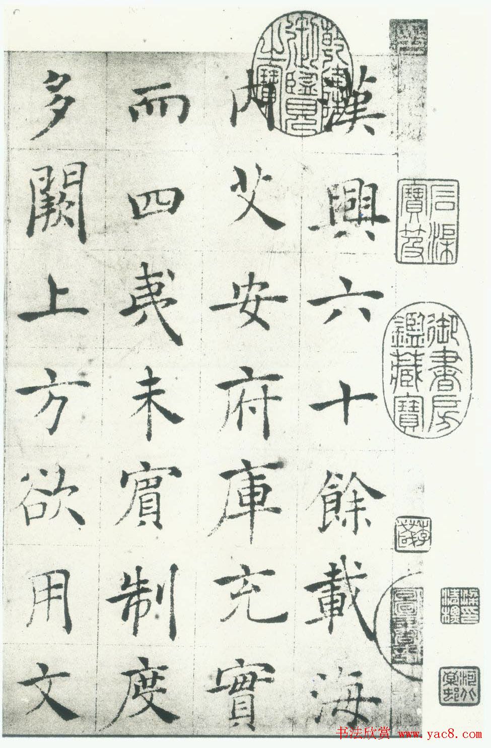 鷨߿ޡ