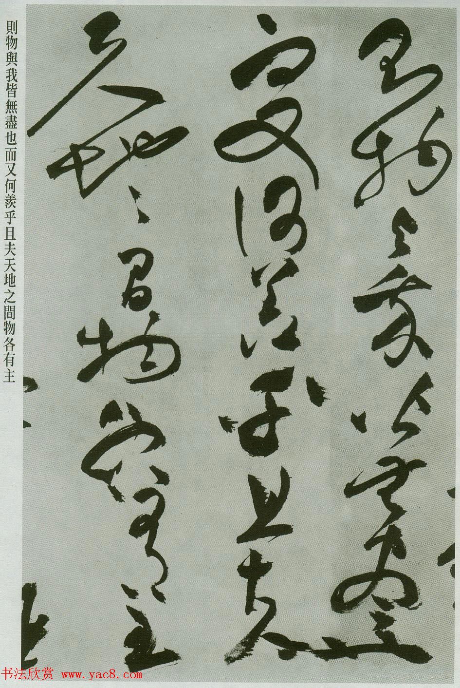 ף͡ǰڸ