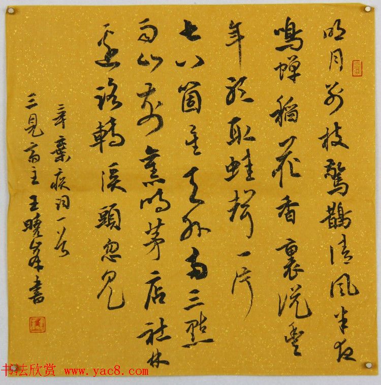 в鷨Ʒ