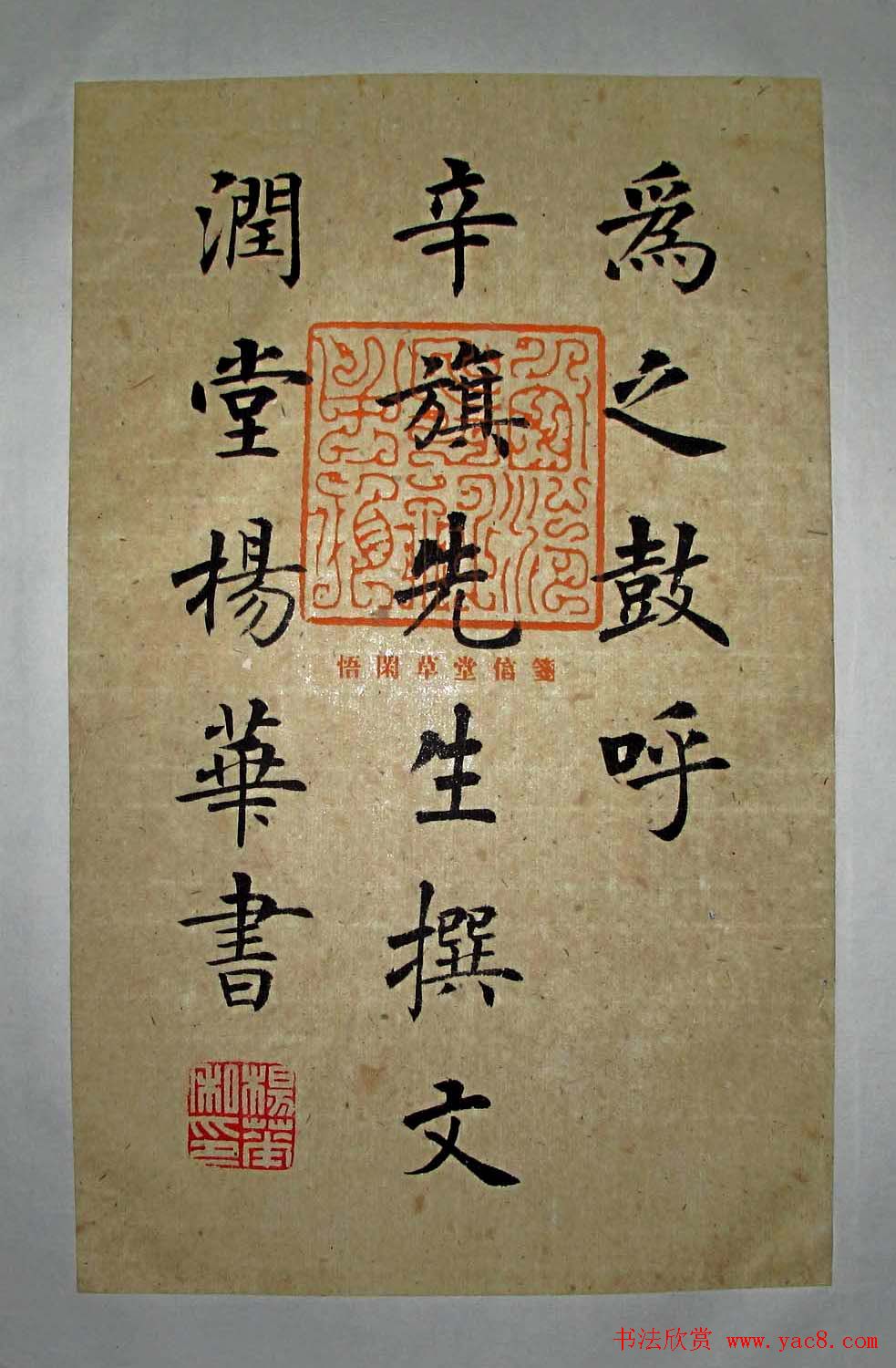 杨华书法楷书册页松赋6