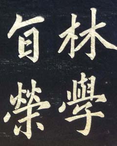 ¼Ҵ鷨ۼǡ