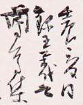 鷨Ʒͤ