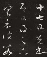 ֮Ʒʮ