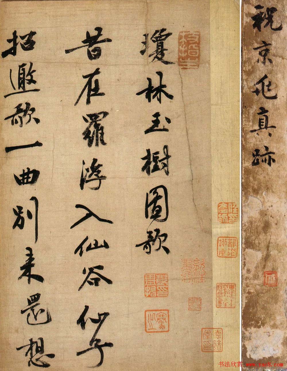 祝允明行书墨迹欣赏《琼林玉树图歌》
