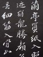 ն鷨īͤʫ