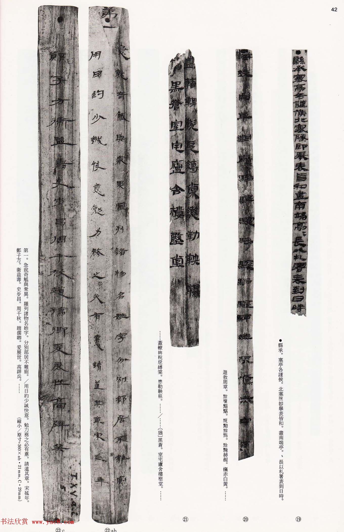 二玄社中国法书选《木简·竹简·帛书》