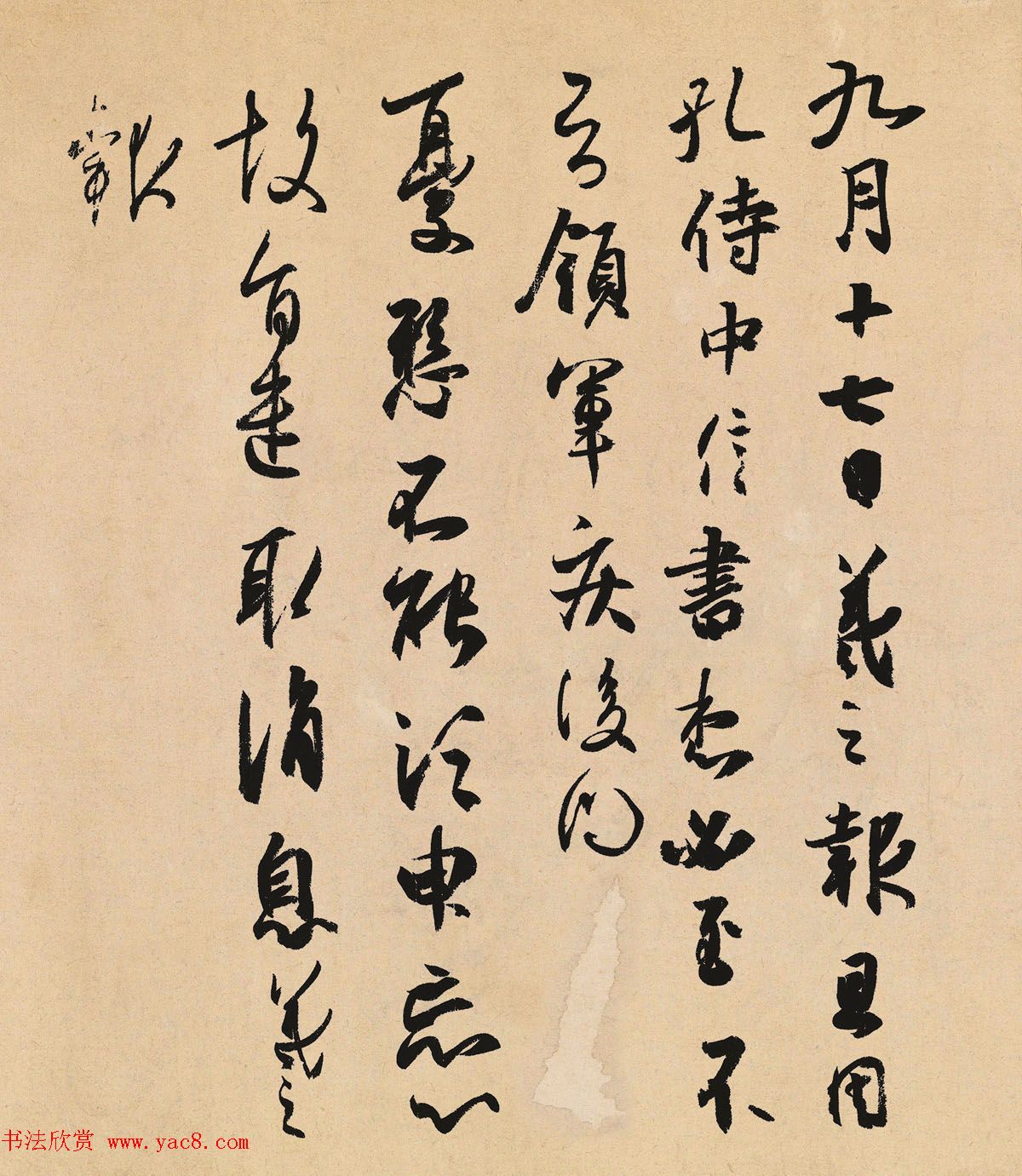 ֮鷨+Ƶа