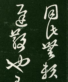 ֮顶ո