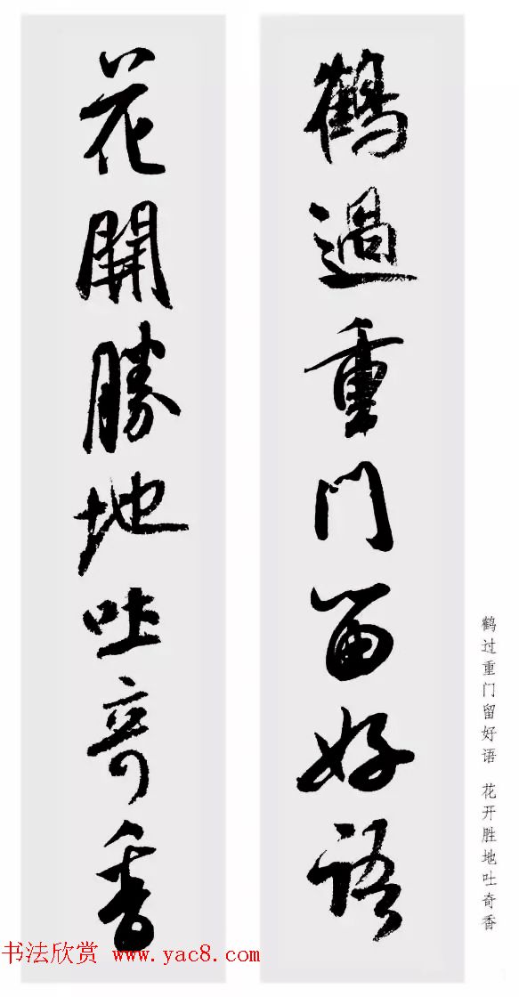 鼯Զ487