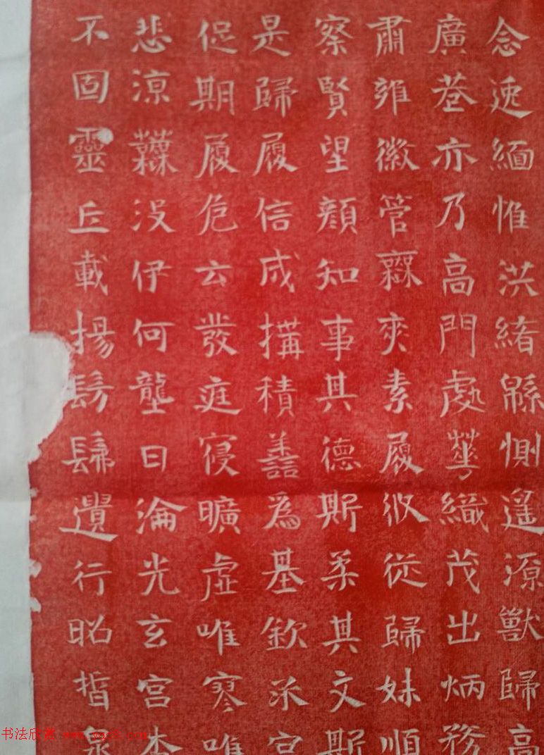 魏故镇东将军贾思伯夫人刘氏墓志铭