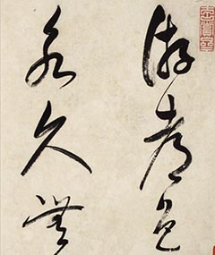 鳤︳