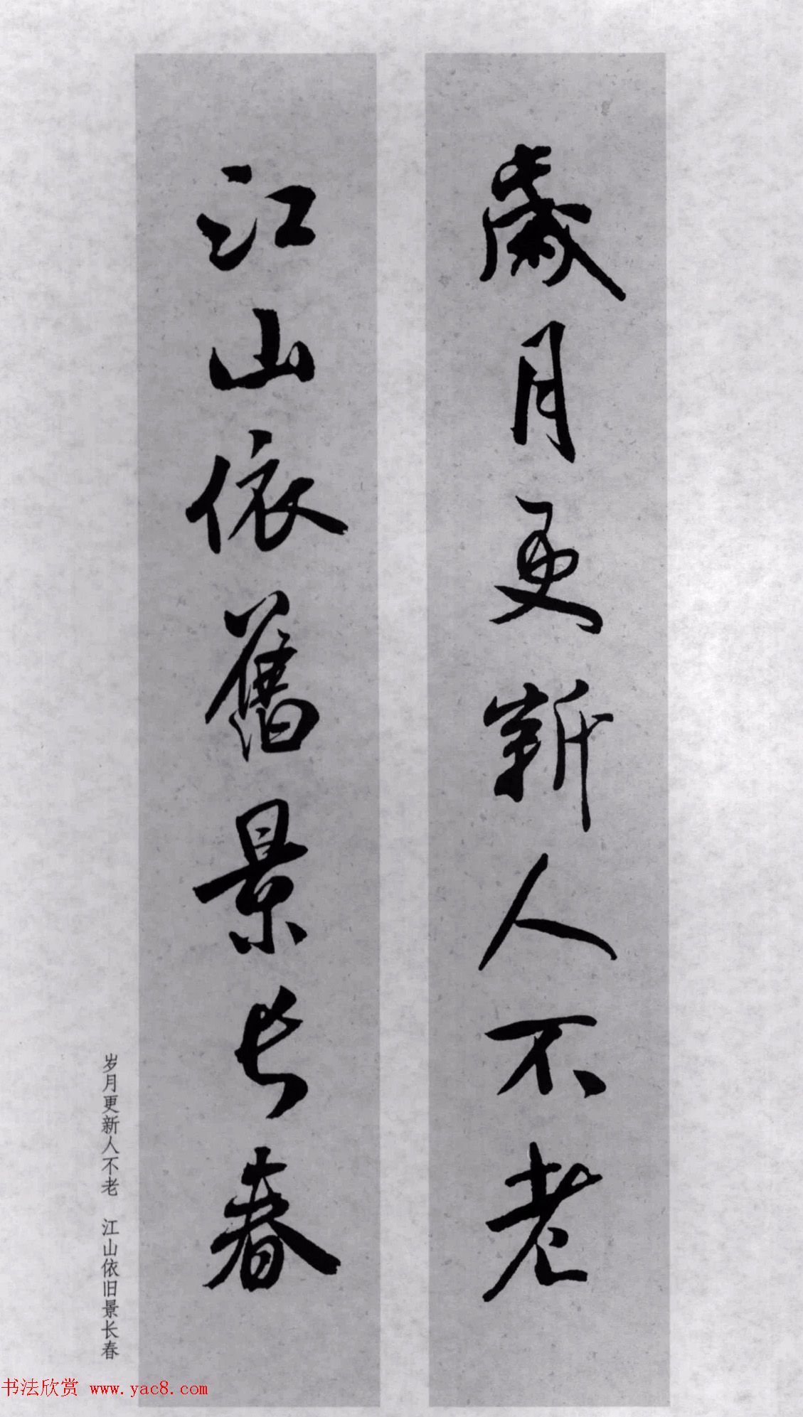 鼯ֶ779