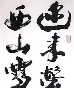 2019鷨ҽչƷѡ