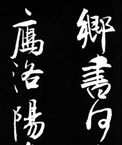 鼯ʫ31