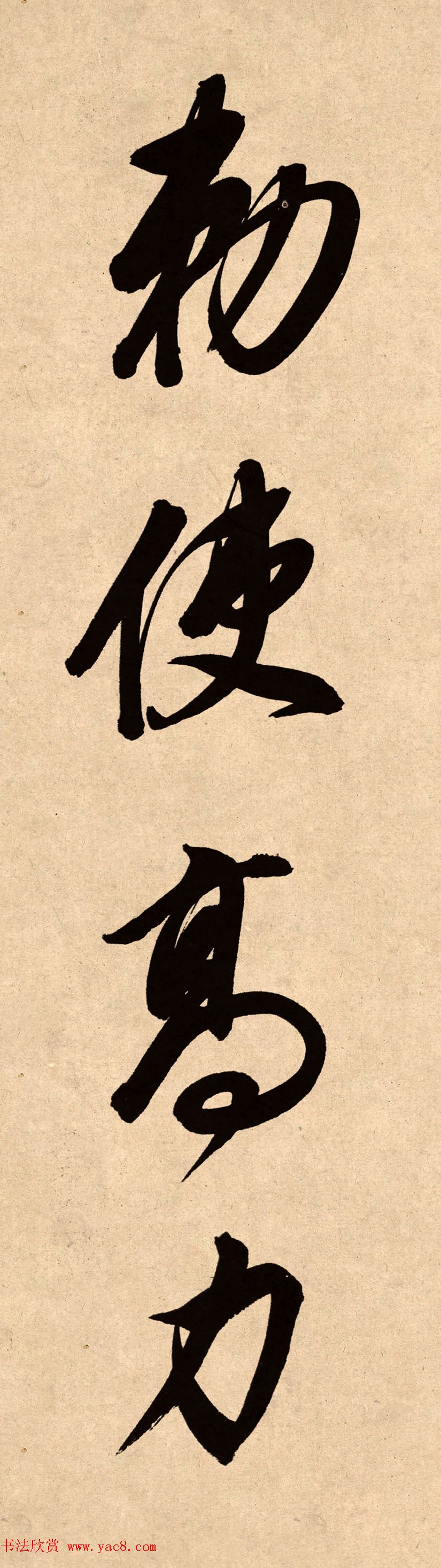 78龫Ʒȸ嵥