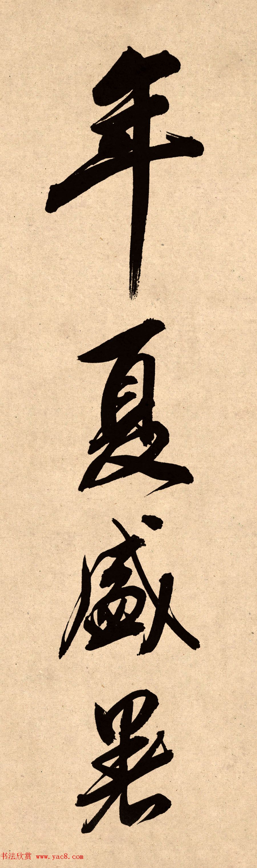 78龫Ʒȸ嵥