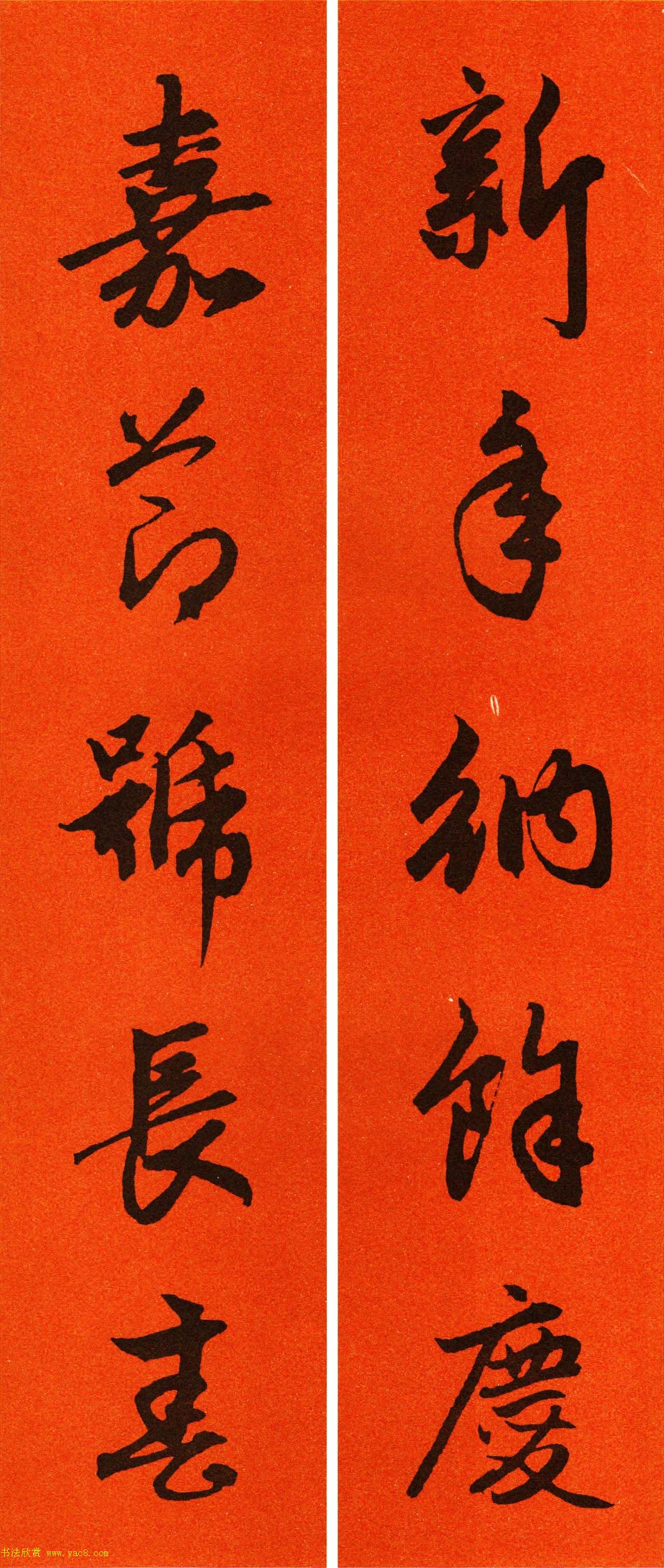 2021\鷨ִ65