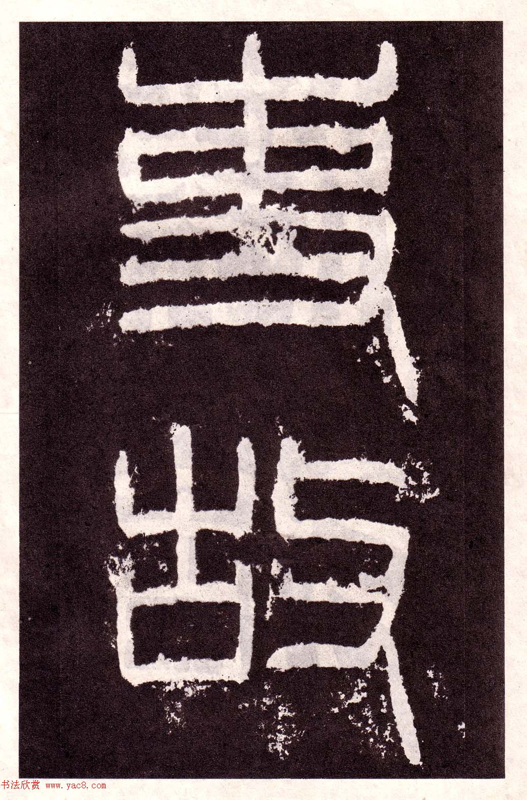 鱮͡
