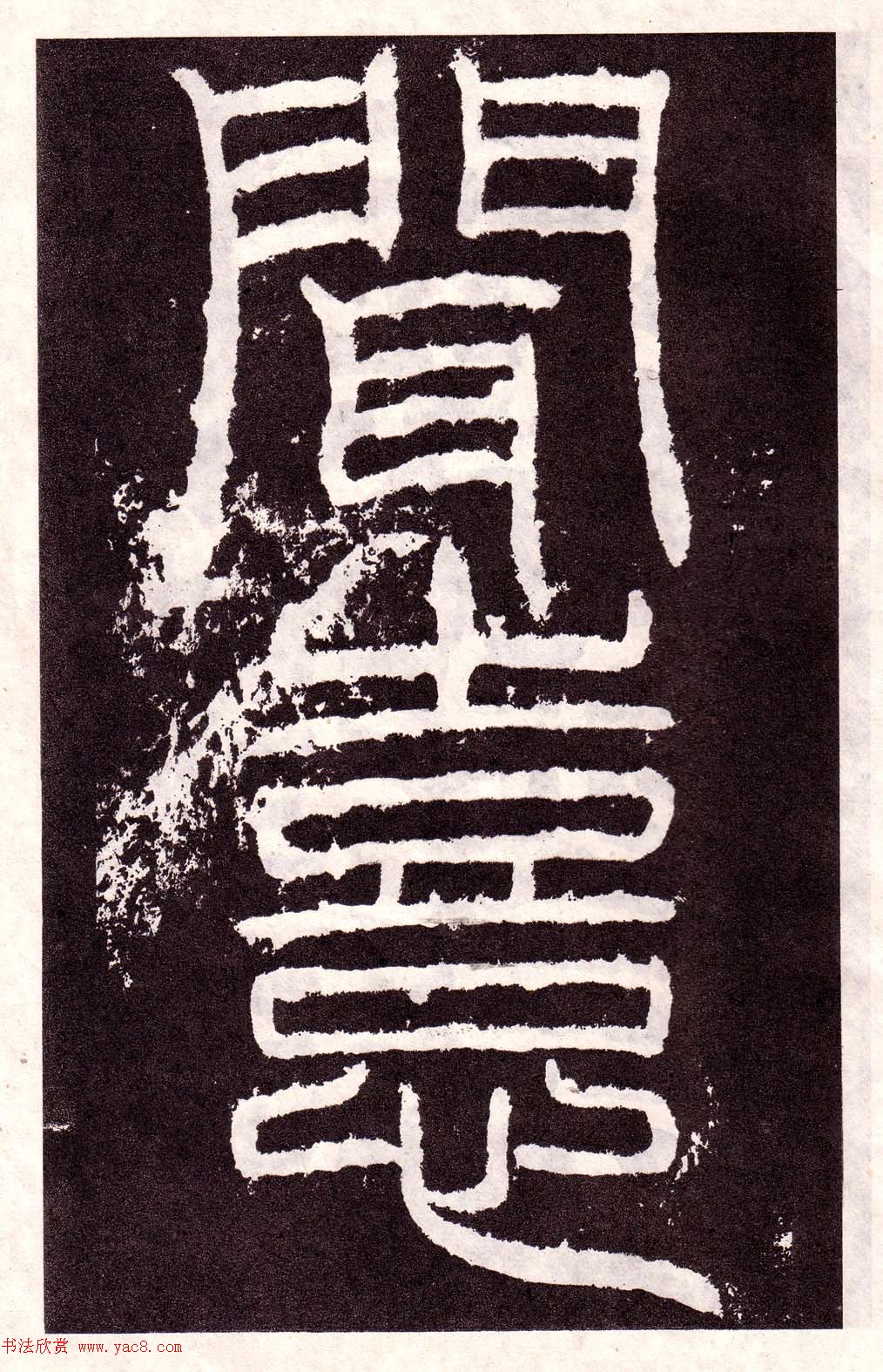 鱮͡
