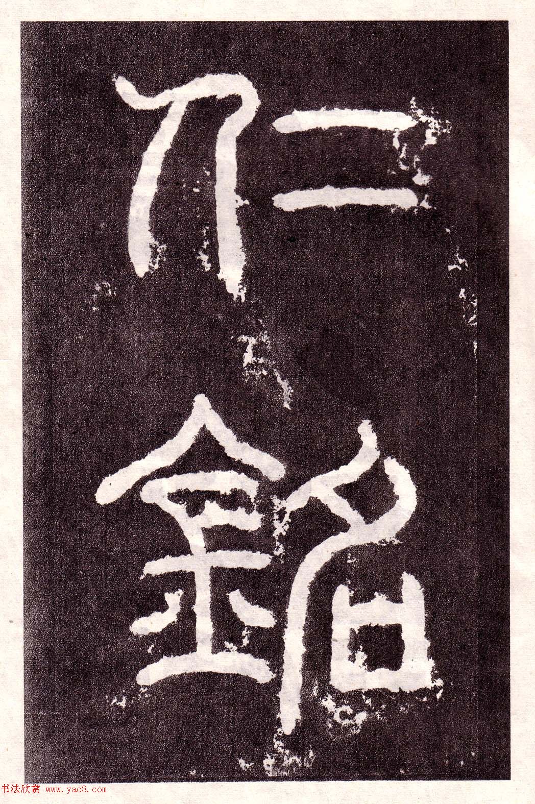 鱮͡