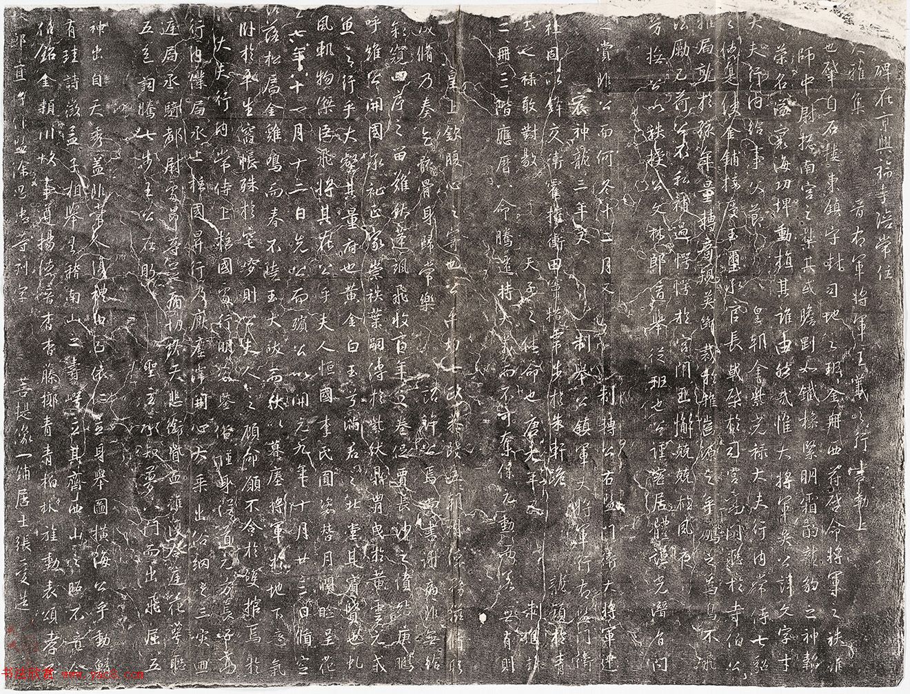 ֮鼯֡ı