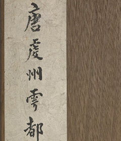 ƴٺ鷨żǡ