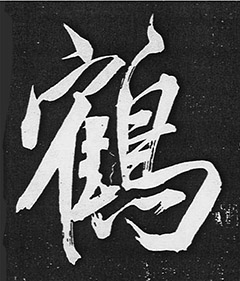 鷨۷֮׸