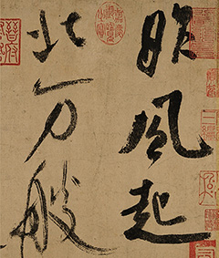 顶⽭ʫ